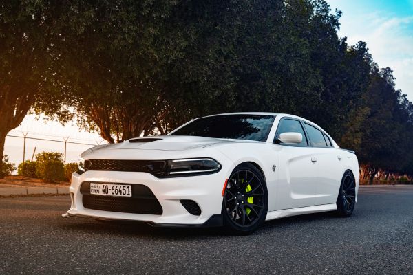 La Ferrari 599 GTB va in fiamme in Olanda